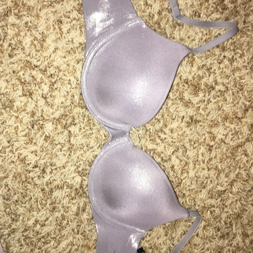 Shimmery Silver Bra